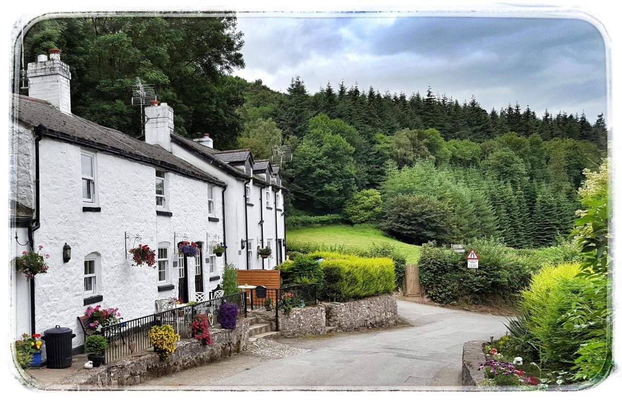 River Cottage سانت أساف المظهر الخارجي الصورة