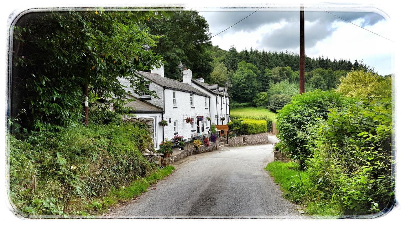 River Cottage سانت أساف المظهر الخارجي الصورة